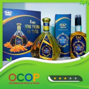 Rượu đông trùng hạ thảo Hưng Hà Vân