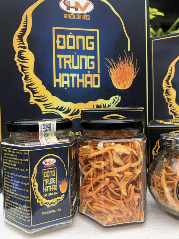 Đông trùng hạ thảo Hưng Hà Vân