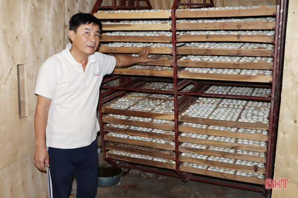 Trứng vịt lộn Đức Bình - Ảnh 4
