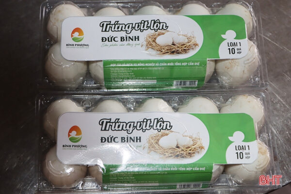 Trứng vịt lộn Đức Bình