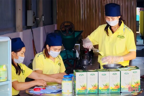 Tinh bột nghệ Hải Lợi - Ảnh 3