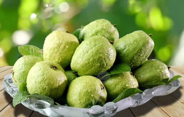 Ổi Đinh Phùng - Ảnh 3