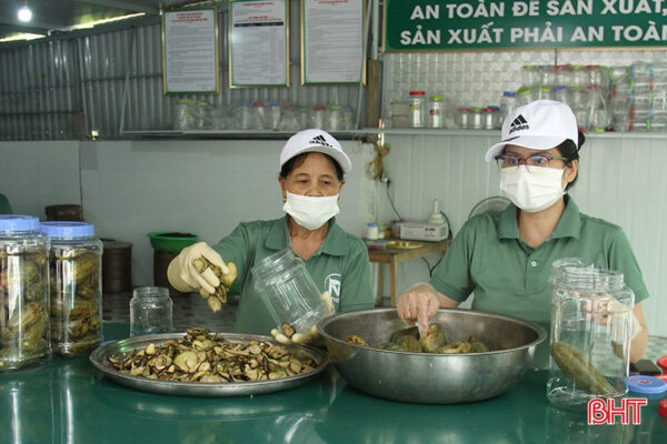 Dưa hồng muối Nga Thông - Ảnh 2