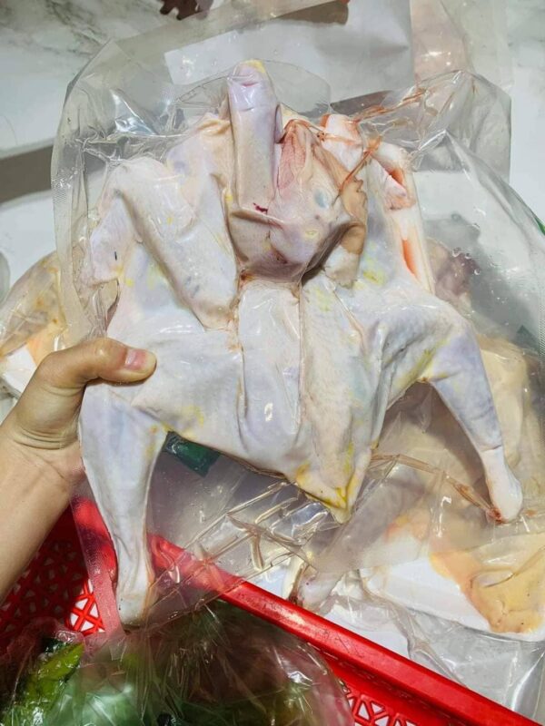 Thịt gà đồi Hiền Tâm - Ảnh 4