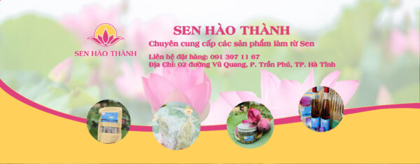 Trà sen Hào Thành - Ảnh 4