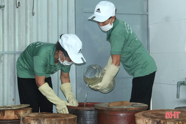 Dưa hồng muối Nga Thông - Ảnh 4