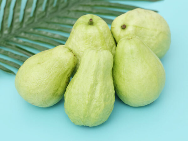 Ổi Ba Cụp - Ảnh 4