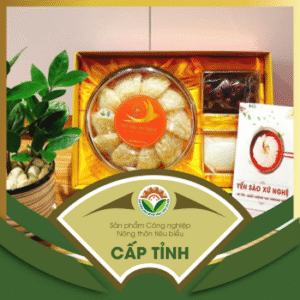 Yến sào tinh chế Xứ Nghệ