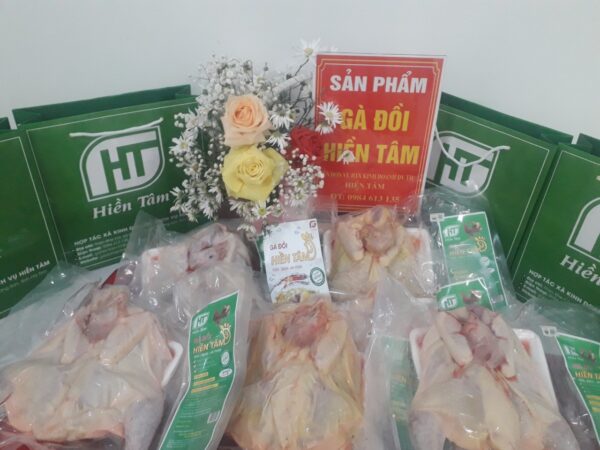 Thịt gà đồi Hiền Tâm