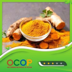 Tinh bột nghệ Hải Lợi