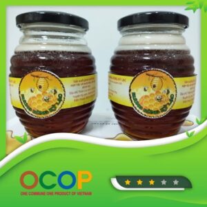 Mật ong hương rừng Kỳ Lạc