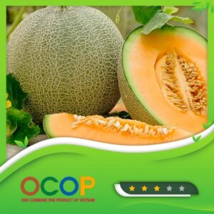 Dưa Lưới Gia Bảo