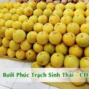 Bưởi Phúc Trạch CHOA