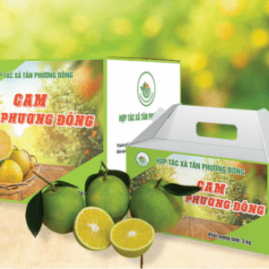 Cam Tân Phương Đông