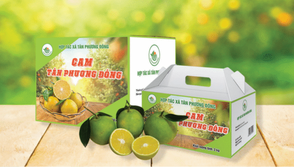 Cam Tân Phương Đông