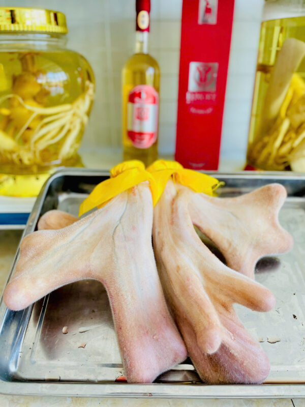 Nhung Hươu tươi Chiến Sơn - Ảnh 2
